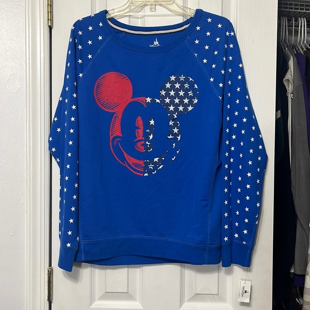Disney Parks Sweatshirt